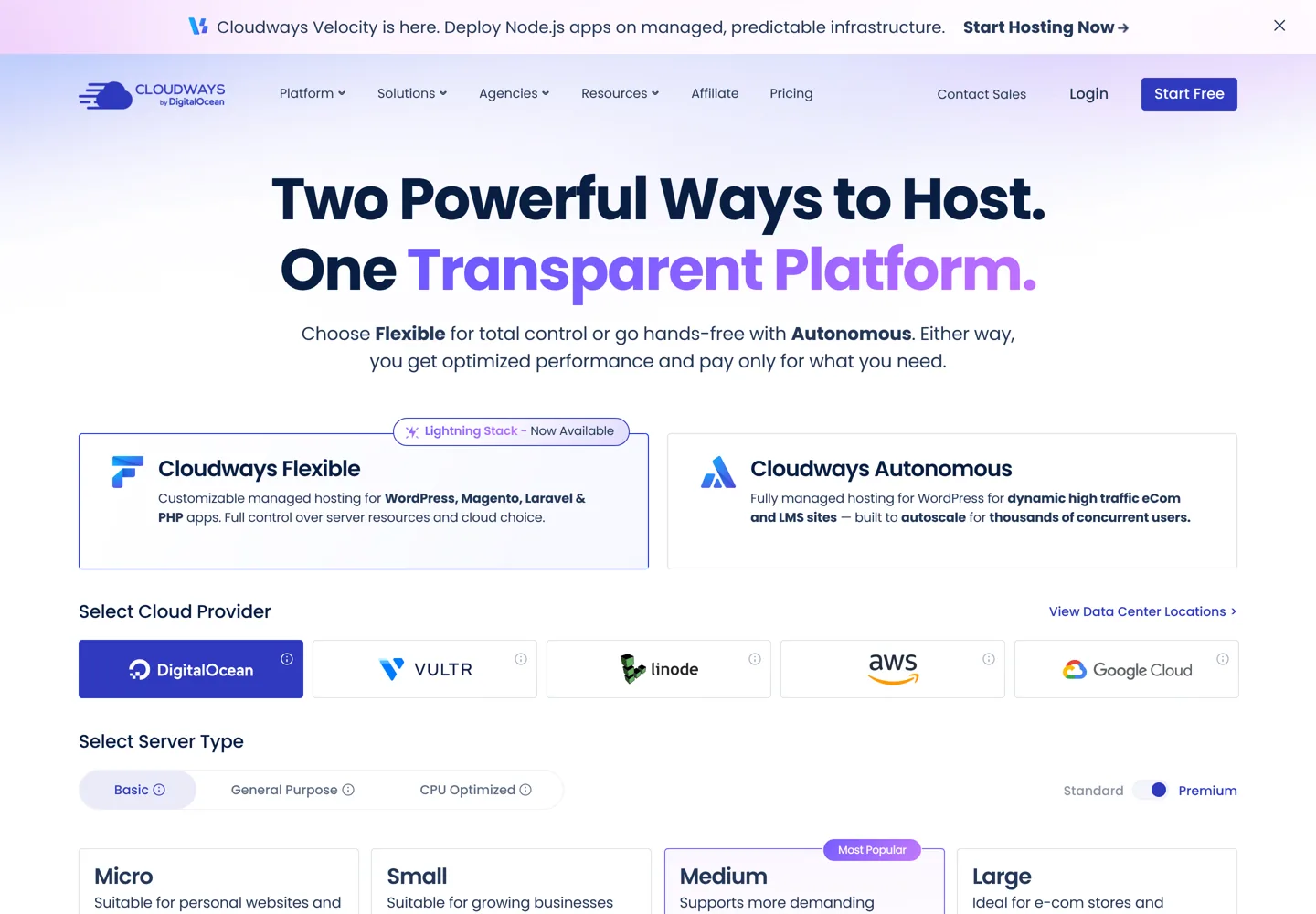 Screenshot of Cloudways' pricing page with cloud providers and server sizes.
